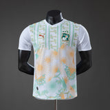 Player Version Ivory Coast Away Jersey 2026 World Cup Football Kit Soccer Shirt PalmSportss