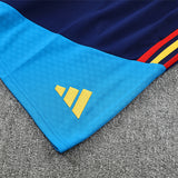 Spain Training Tracksuits 2026 Football Kit Soccer Shirt