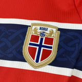 Norway Home Jersey 2026 World Cup Football Kit Soccer Jersey PalmSportss