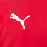Austria Home Jersey 2026 World Cup Football Kit Soccer Shirt