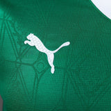 Palmeiras Jersey 25/26 Home Football Kit Player Version