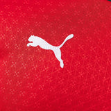 Portugal Jersey 2025/26 Home Football Kit Long Sleeves Player Version