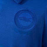 Brighton Anniversary Jersey 2026-2027 Football Kit Soccer Shirt PalmSportss