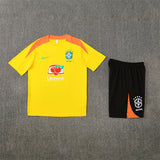 Brazil Training Tracksuits 2025/26 Football Kit Soccer Jersey
