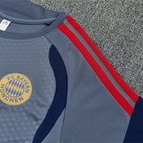 Bayern Munich Training Tracksuits 2026-2027 Football Kit Soccer Jersey PalmSportss
