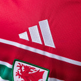 Wales Jersey 2026 World Cup Home Football Kit