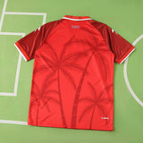 Haiti Third Jersey 2026 World Cup Football Kit Soccer Shirt PalmSportss