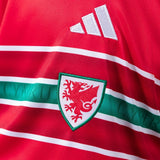 Kids Wales Jersey 2026 World Cup Home Football Kit