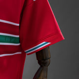 Wales Jersey 2026 World Cup Home Football Kit