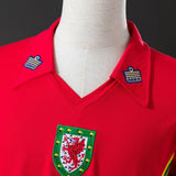 Wales Jersey 1976 Home Retro Football Kit