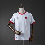 Jordan Home Jersey 2026 World Cup Football Kit Soccer Shirt PalmSportss