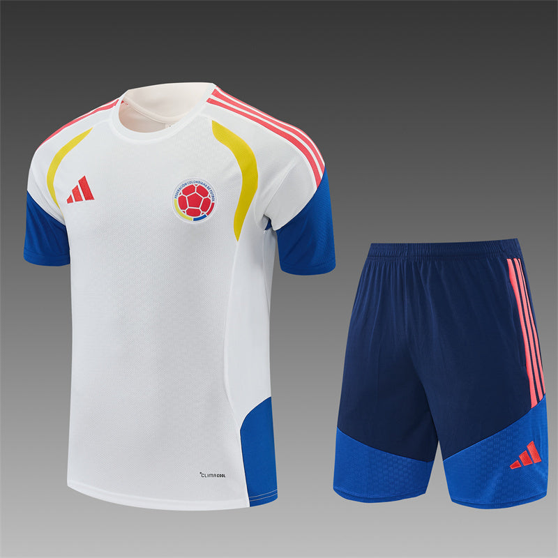 Colombia Training Tracksuits 2026 Football Kit Soccer Jersey