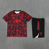 Liverpool Training Tracksuits 25/26 Football Kit Soccer Jersey
