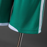 Northern Ireland Home Shorts 2026 Football Kit Soccer Shorts