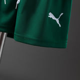 Kids Palmeiras Jersey 25/26 Away Football Kit