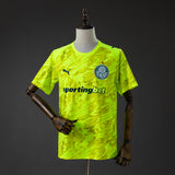 Palmeiras Goalkeeper Jersey 2026-2027 Football Kit Soccer Shirt PalmSportss