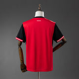Austria Home Jersey 2026 World Cup Football Kit Soccer Shirt