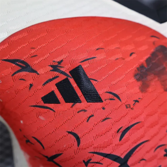Versión para jugadores Camiseta especial de Japón 24/25 Kit de fútbol