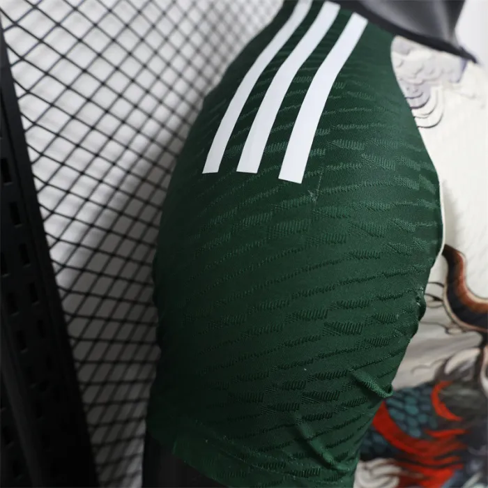 Versión para jugadores Camiseta especial de Japón 24/25 Kit de fútbol
