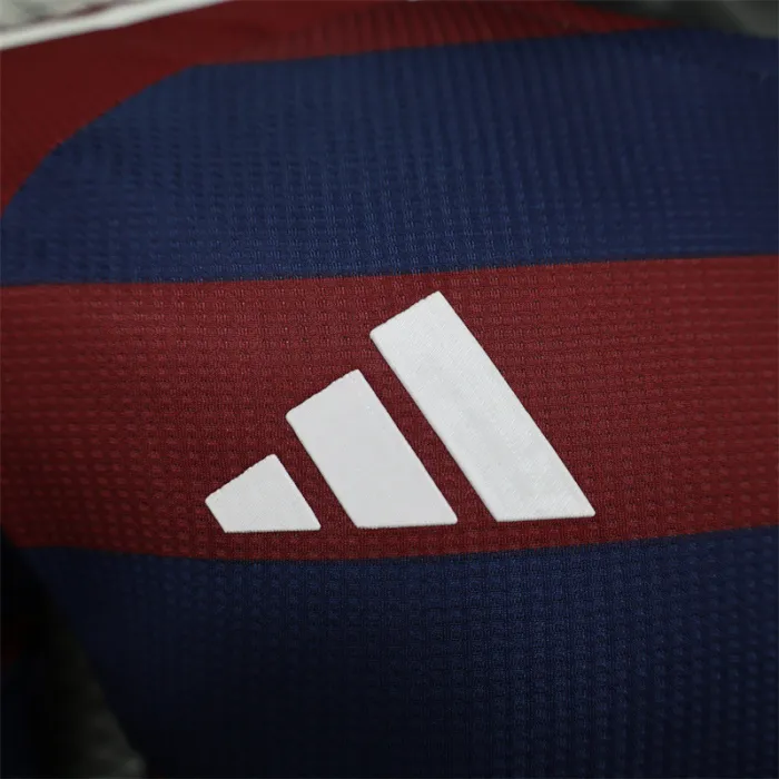 Versión para jugadores Camiseta de fútbol de visitante del Newcastle United 24/25