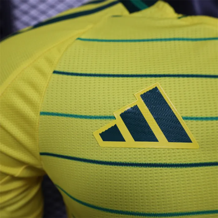 Versión para jugadores Camiseta de fútbol visitante del Celtic 24/25