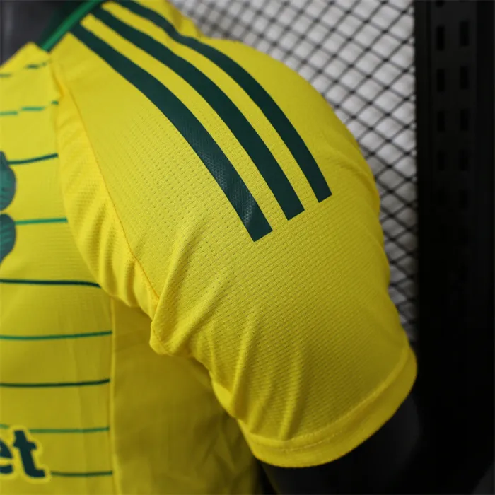 Versión para jugadores Camiseta de fútbol visitante del Celtic 24/25