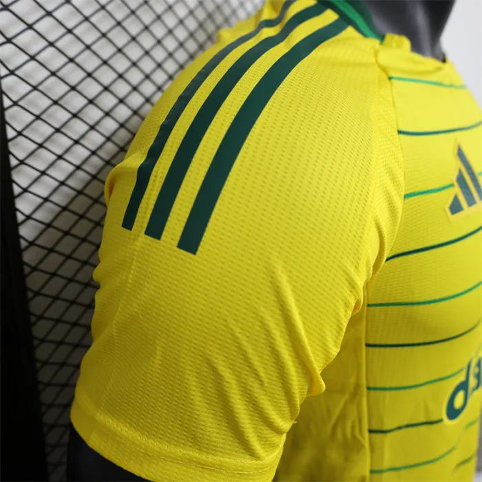 Versión para jugadores Camiseta de fútbol visitante del Celtic 24/25