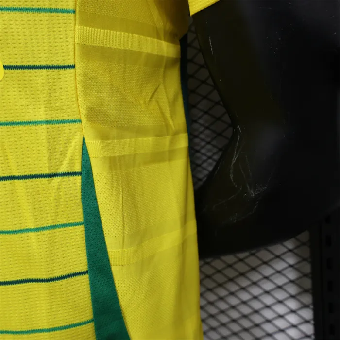 Versión para jugadores Camiseta de fútbol visitante del Celtic 24/25
