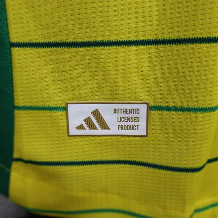 Versión para jugadores Camiseta de fútbol visitante del Celtic 24/25
