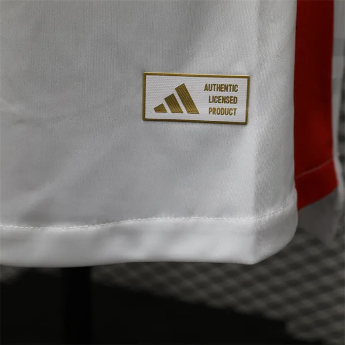 Versión para jugadores Camiseta de fútbol de visitante de Japón 24/25 Camiseta de manga larga
