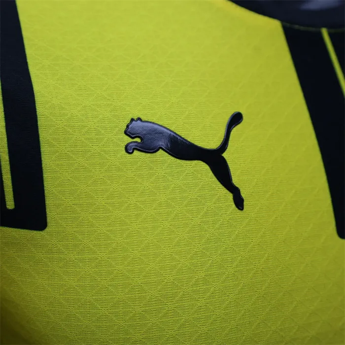Versión de jugador Camiseta de fútbol especial Dortmund 24/25