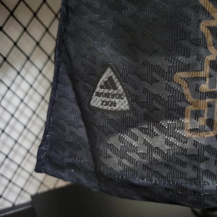 Camiseta de fútbol del equipo especial de Japón 24/25