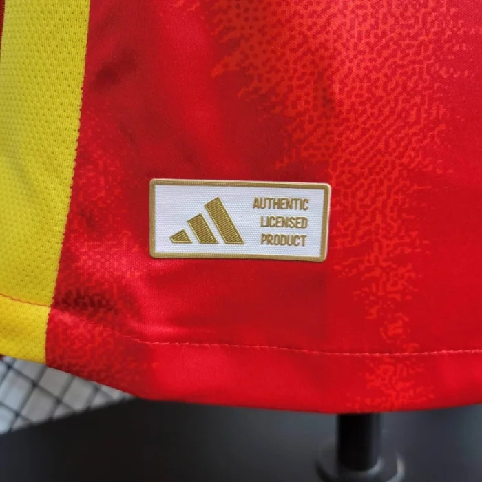 Camiseta de fútbol de la Eurocopa 2024 de la selección de España 24/25