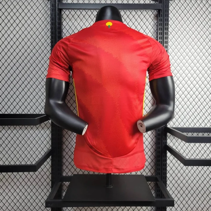 Camiseta de fútbol de la Eurocopa 2024 de la selección de España 24/25