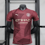 Player Version Manchester City Third Jersey 24/25 Football Kit - PalmSportss