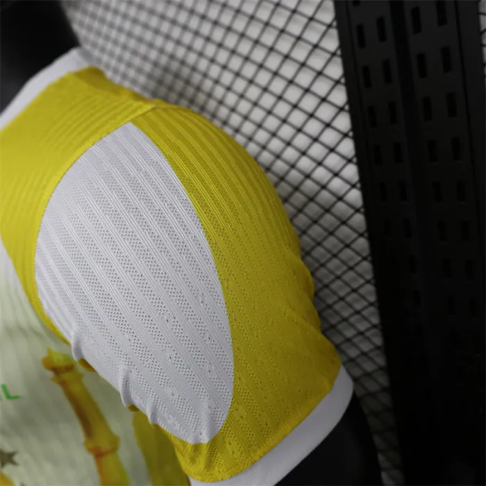 Versión del jugador Camiseta de fútbol de la Copa América 2024 de Brasil Kit especial 24/25