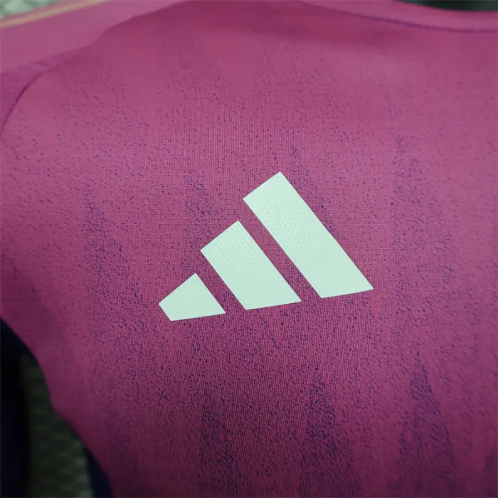 Camiseta visitante de Alemania para la Eurocopa 2024/25 de manga larga