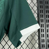 player version plymouth argyle jersey 25/26 home football kit soccer jersey - PalmSportss