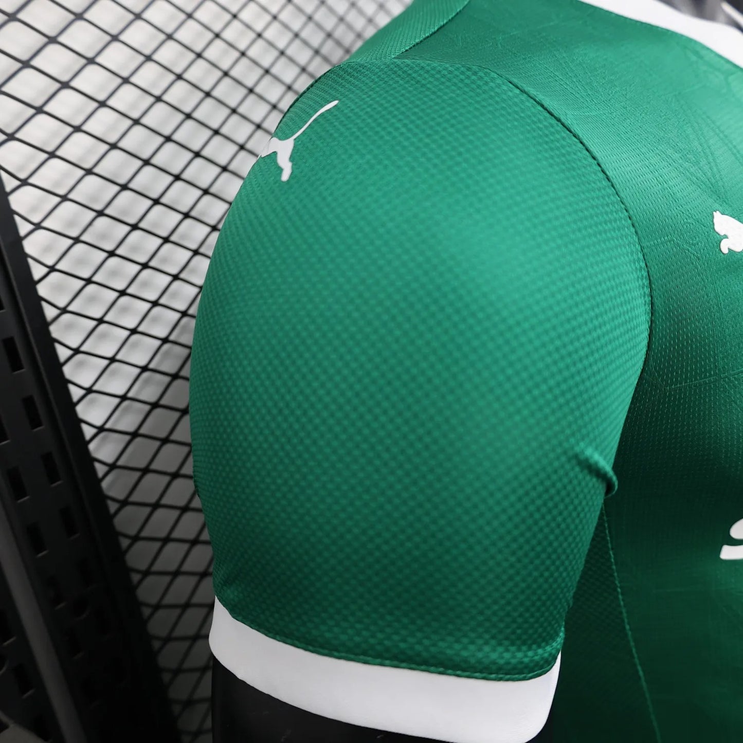 player version palmeiras jersey 25/26 home football kit soccer jersey