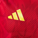Belgium Jersey 2026 World Cup Football Kit Player Version - PalmSportss