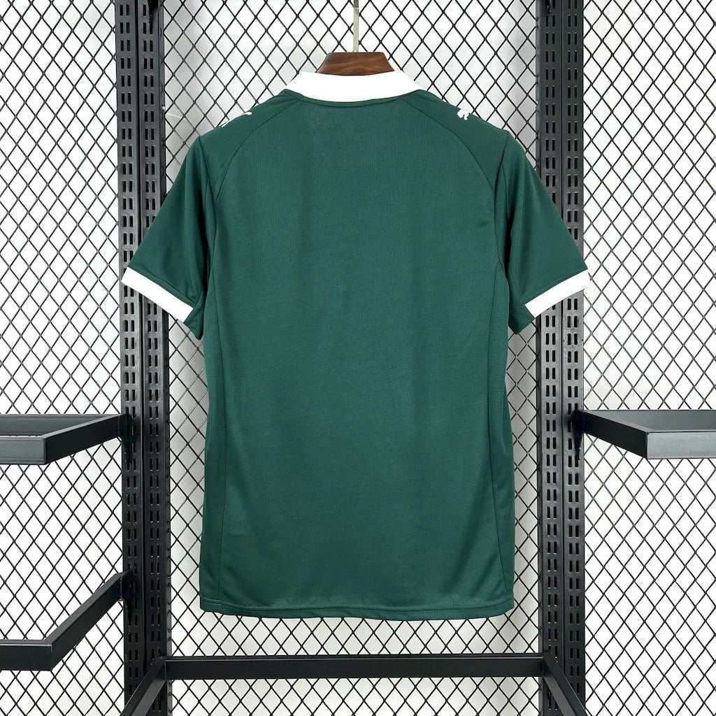 player version plymouth argyle jersey 25/26 home football kit soccer jersey