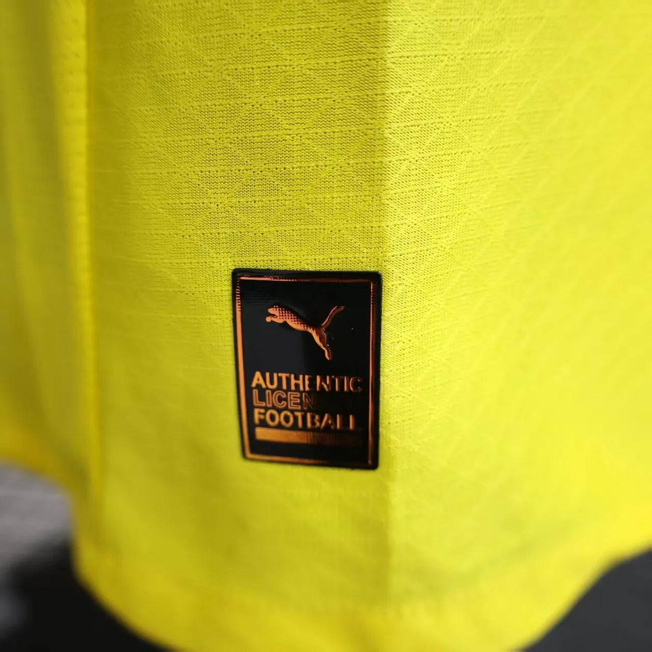 player version dortmund jersey 25/26 football kit soccer jersey