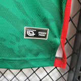 cameroon home jersey 2025 football kit soccer jersey - PalmSportss