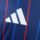 Olympique Lyonnais Jersey 25/26 Away Football Kit Fans Version