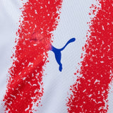 Paraguay Away Jersey 2026 World Cup Football Kit Soccer Jersey PalmSportss