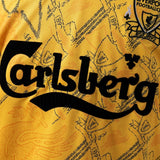 Retro Liverpool Jersey 1994-96 Third Football Kit PalmSportss