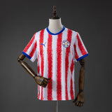 Paraguay Away Jersey 2026 World Cup Football Kit Soccer Jersey PalmSportss