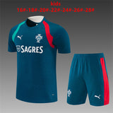 Kids Portugal Training Tracksuits 2026 Football Kit Soccer Jersey PalmSportss