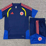 Kids Colombia Training Tracksuits 2026 Football Kit Soccer Jersey