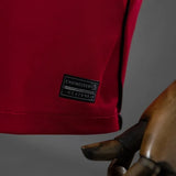 Canada Jersey 2026 World Cup Home Football Kit PalmSportss